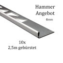 10x L-Profil Edelstahlschiene Fliesenschiene Fliesenprofil L250cm 6mm gebürstet