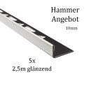 5x L-Profil Edelstahlschiene Fliesenschiene Fliesenprofil L250cm 10mm glänzend