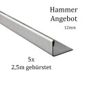 5x L-Profil Edelstahlschiene Fliesenschiene Fliesenprofil L250cm 12mm gebürstet