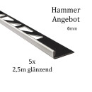 5x L-Profil Edelstahlschiene Fliesenschiene Fliesenprofil L250cm 6mm glänzend