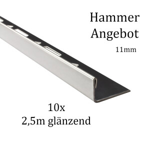 10x L-Profil Edelstahlschiene Fliesenschiene Fliesenprofil L250cm 11mm glänzend