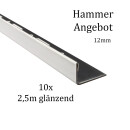 10x L-Profil Edelstahlschiene Fliesenschiene Fliesenprofil L250cm 12mm glänzend