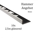10x L-Profil Edelstahlschiene Fliesenschiene Fliesenprofil L250cm 8mm glänzend