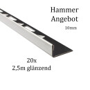 20x L-Profil Edelstahlschiene Fliesenschiene Fliesenprofil L250cm 10mm glänzend