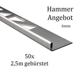 50x L-Profil Edelstahlschiene Fliesenschiene Fliesenprofil L250cm 6mm gebürstet
